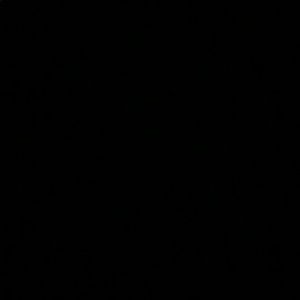 Meet your Posher, Kenzie